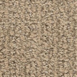 Shaw Floors Stay Fit Honeycomb SHAW