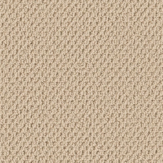 Tuftex Gracious Treasure SHAW