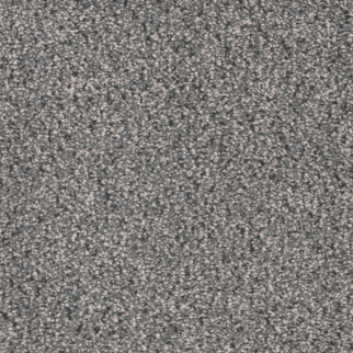 Tarkett Home Carpets Candler Park Farmhouse LEXMARK