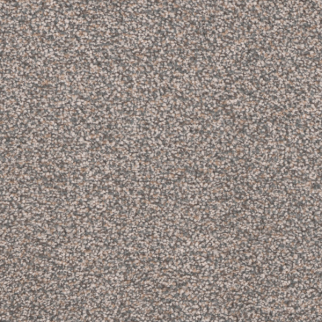 Tarkett Home Carpets Candler Park Colonial LEXMARK