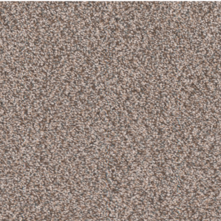 Tarkett Home Carpets Candler Park Beach Cottage LEXMARK