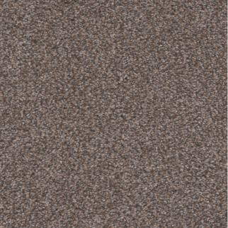 Tarkett Home Carpets Inman Park Bungalow LEXMARK