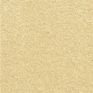 Dixie Home Star Power Sanderling