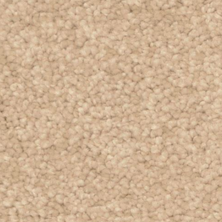 Dixie Home Treasured Moment Dusty Trail