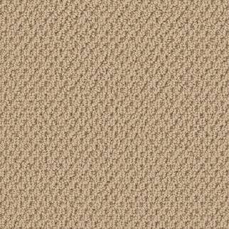 Tuftex Gracious Golden Rule SHAW