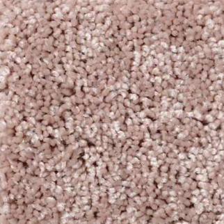 Shaw Floors All Star Weekend III 12' Honeycomb SHAW