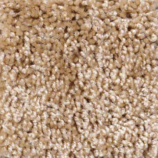 Shaw Floors Dreamin 12' Reed SHAW