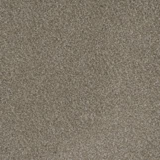 Dreamweaver Carpet Mill Creek II Polished Pebble DREAMWEAVER