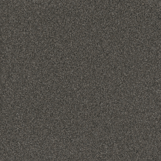 Dreamweaver Carpet No Limits III Magnetic DREAMWEAVER