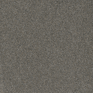 Dreamweaver Carpet Mill Creek II Rain Shadow DREAMWEAVER