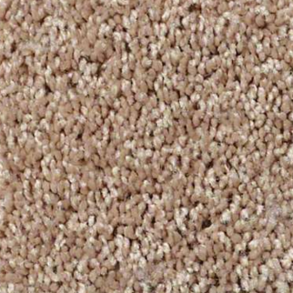 Shaw Floors Fielders Choice 12 Cider SHAW