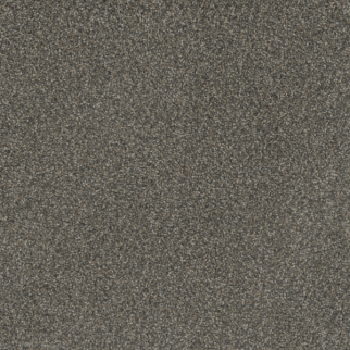 Dreamweaver Carpet Mill Creek I Warm Pine DREAMWEAVER