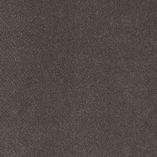 Dreamweaver Carpet Palmetto I Bear Paw DREAMWEAVER