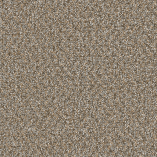 Dreamweaver Carpet Broadcast Plus Siesta DREAMWEAVER