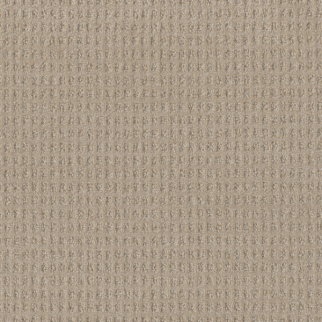 Dreamweaver Carpet Perfect Balance Joyous DREAMWEAVER