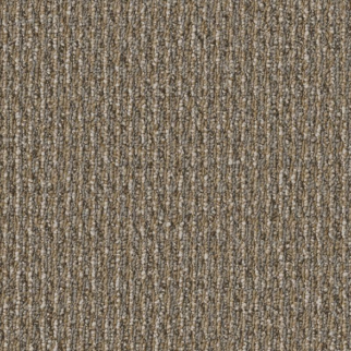 Shaw Floors Prelude Herald SHAW