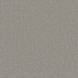 Dreamweaver Carpet Mystique Star Dust DREAMWEAVER