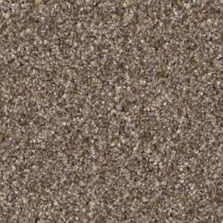 Shaw Floors Yes You Can I 12' Honeycomb SHAW