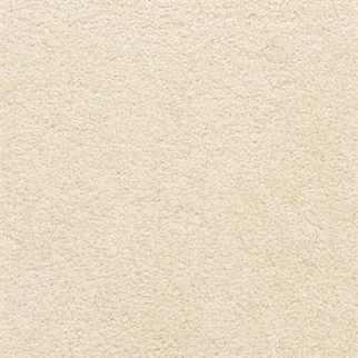 Masland Carpets Knockout Poise Masland