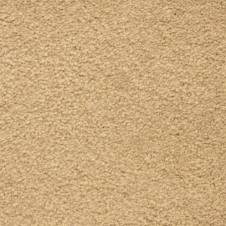 Masland Carpets Ravishing Charming Masland