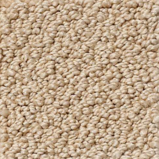 Shaw Floors Traditional Elegance Honeycomb SHAW