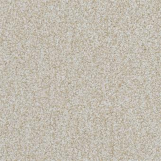 Masland Carpets Boca Raton Everlasting Masland