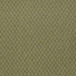 Philadelphia Commercial Elements Desert Cactus Shaw