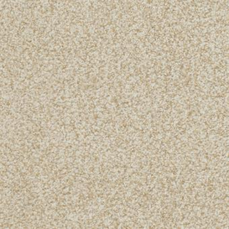 Masland Carpets Boca Raton Ageless Masland