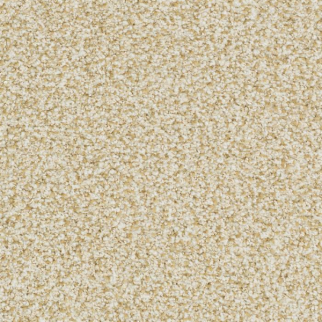 Masland Carpets St Augustine Ageless Masland