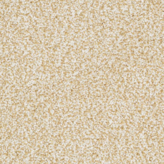 Masland Carpets Sunset Key Ageless Masland