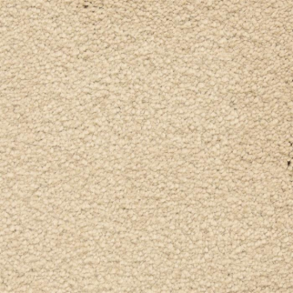 Masland Carpets Ravishing Pleasing Masland