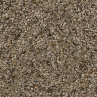 Tuftex Topanga Canyon Morning Blend SHAW