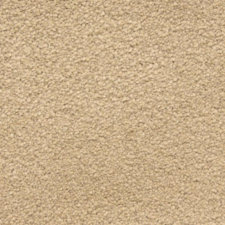 Masland Carpets Ravishing Splendid Masland