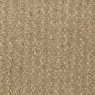 Philadelphia Commercial Elements Sierra Shaw