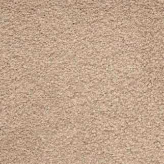 Masland Carpets Ravishing Ideal Masland