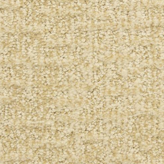 Dixie Home Fine Art Sequin