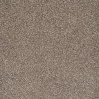 Dreamweaver Carpet Palmetto III Marigold DREAMWEAVER