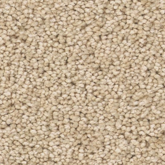 Tuftex Enduring Charm Papyrus SHAW