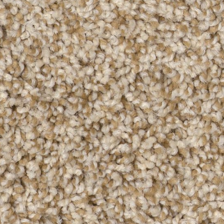 Tuftex Via Nova Reed SHAW