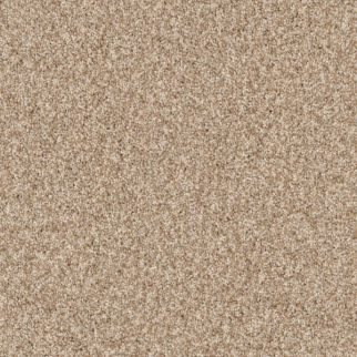 Tuftex Terra Nova Reed SHAW