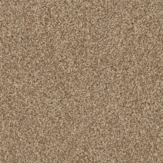 Tuftex Terra Nova Hazel SHAW