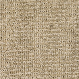 Masland Carpets Serene Touch Patient Masland