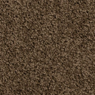 Mohawk Carpet Revive Husk Mohawk