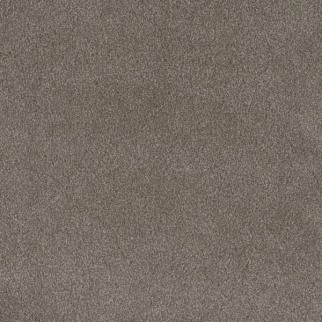 Dreamweaver Carpet Palmetto II Vienna DREAMWEAVER