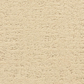 Masland Carpets Santa Barbara Butterfly Beach Masland