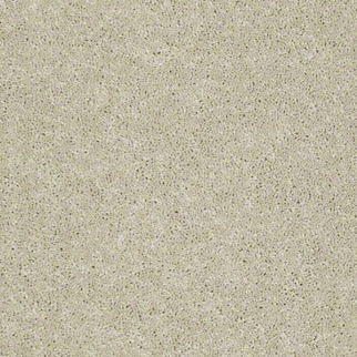 Shaw Floors Dyersburg Classic 15' Casual Cream SHAW