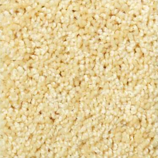 Shaw Floors Kid Crossing Lemon Drop SHAW