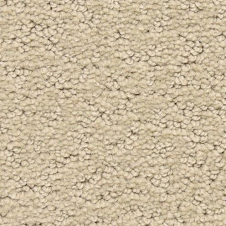 Dixie Home Prize Winner Premier