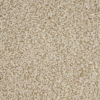 Dixie Home New Age Premiere