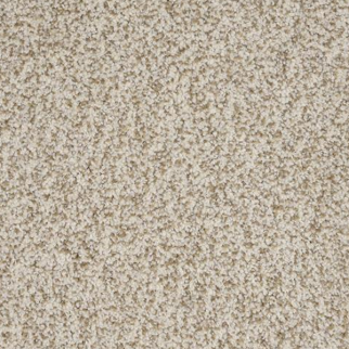 Dixie Home New Age Treasure